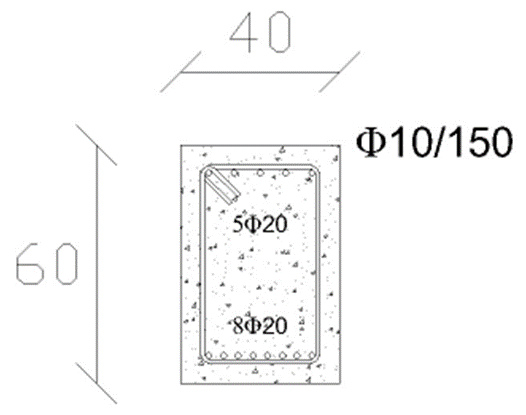 Beam Reinforcement Section